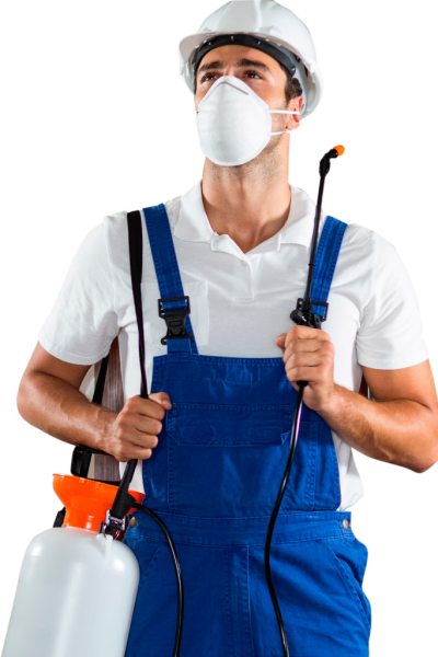 Slide2-Dedetizador-803x1024